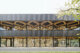 wulf architekten: Mensa Darmstadt (Foto Brigida González), 